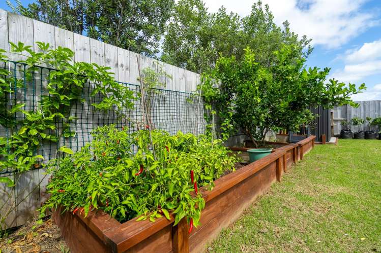 67 Kaurinui Crescent One Tree Point_22