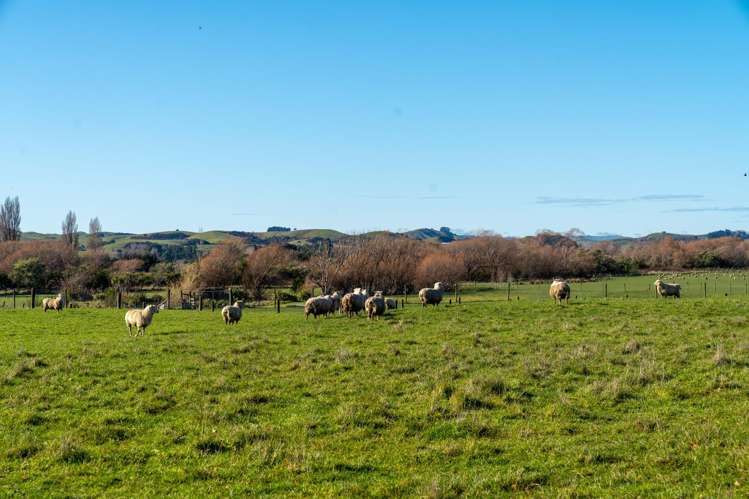 64B Opaki Kaiparoro Road Masterton_6