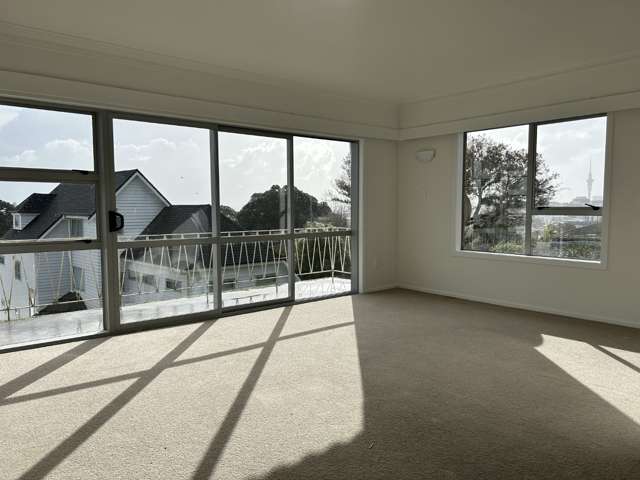 Sunny unit, city end of Mt Eden in Double Grammar Zone