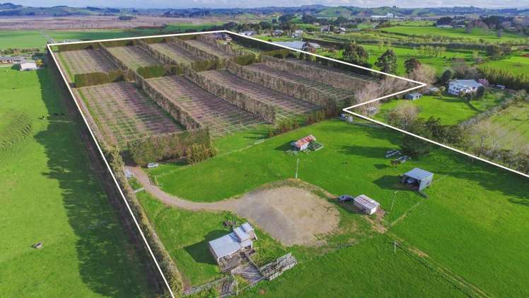 119a Baird Road Mangatawhiri_1