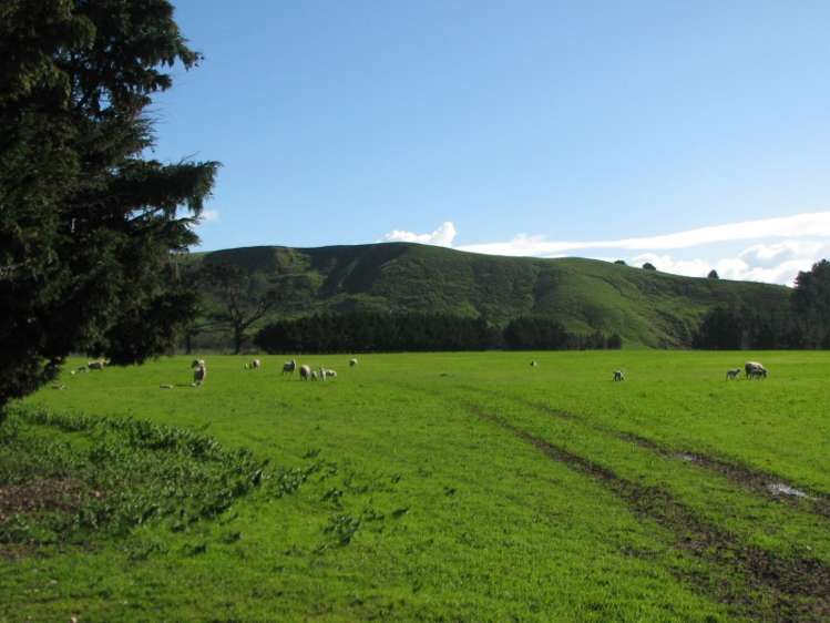 168c Hinakura Road Martinborough_6