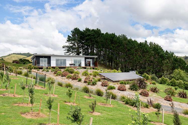 169 Torehape Road West Kaihere_39