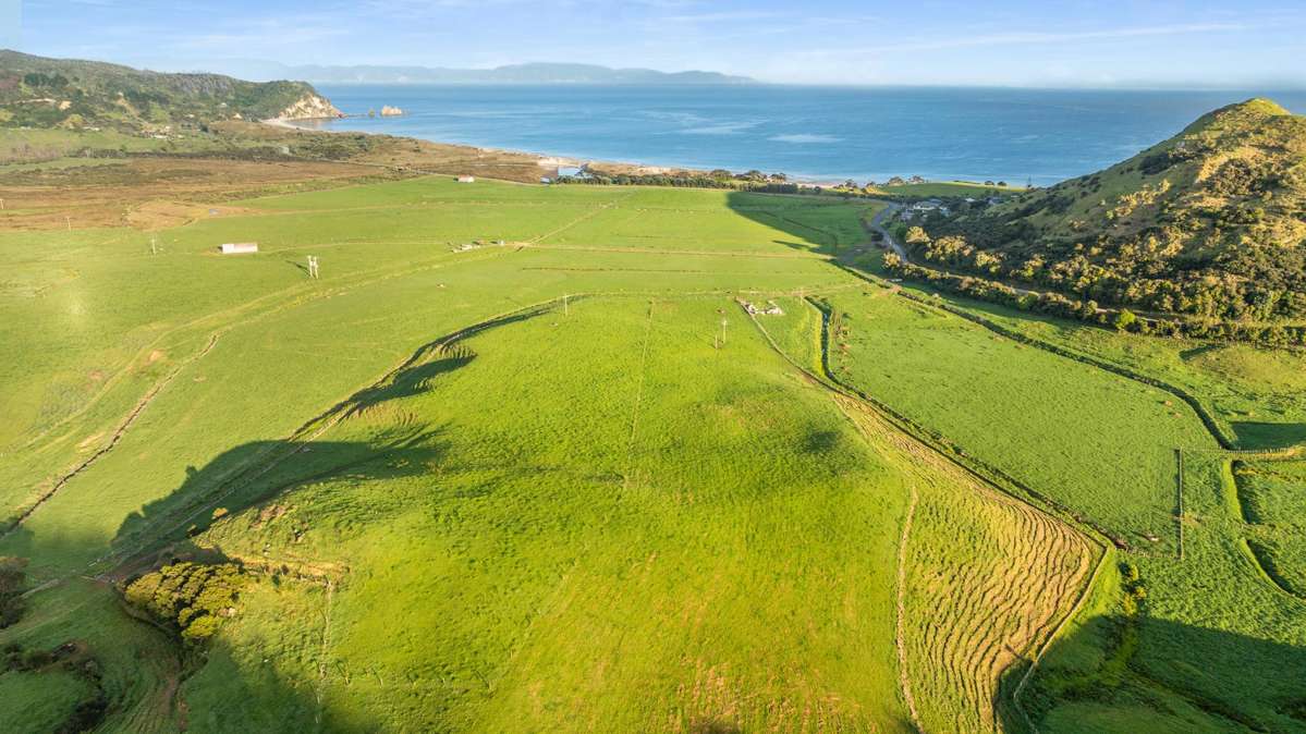 550 Black Jack Road_5