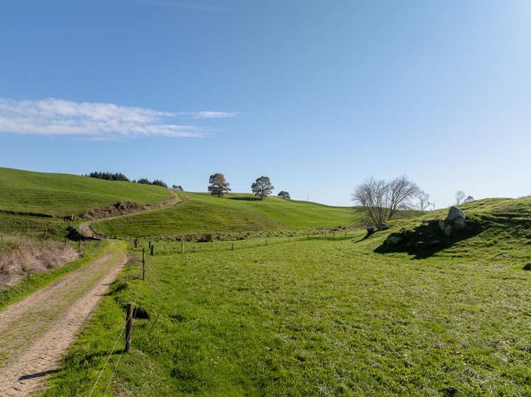 2005 Old Taupo Road Putaruru_18