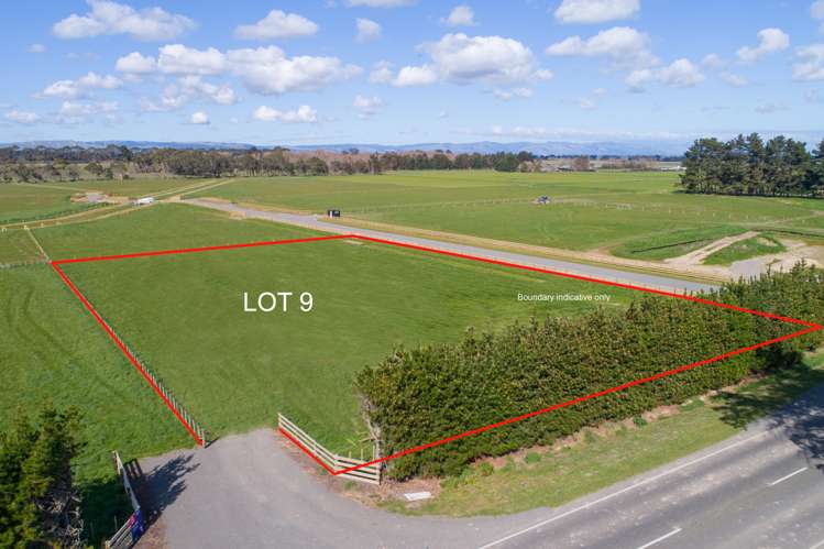 434 Taonui Road Aorangi_1