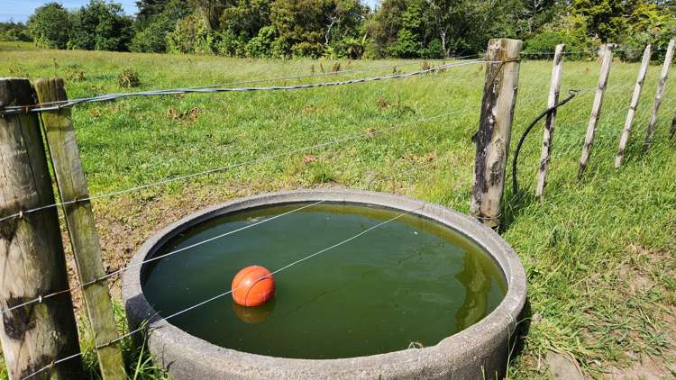 71 Lepper Road Inglewood_15