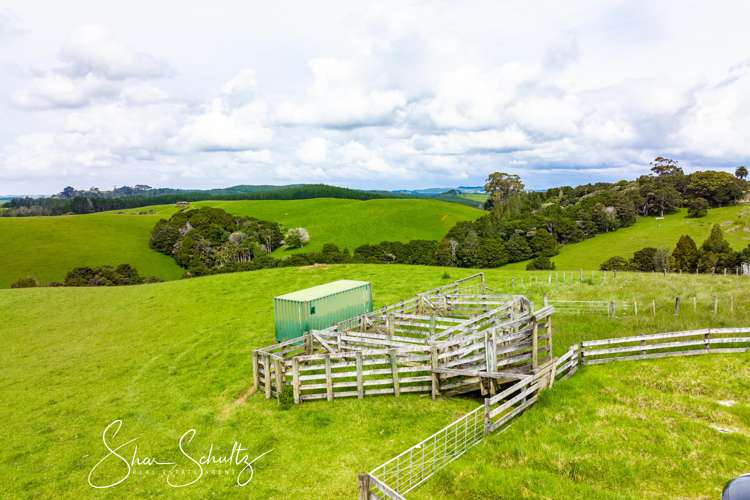 1509 Tinopai Road Tinopai_8