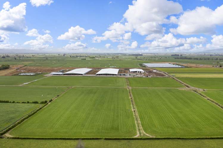 Waghorn Road Manawaru_12