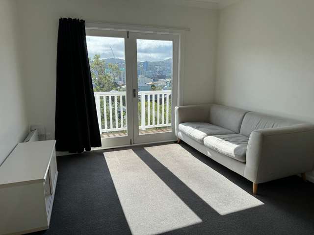 Beautiful 1 bedroom apartment in Mt Vic