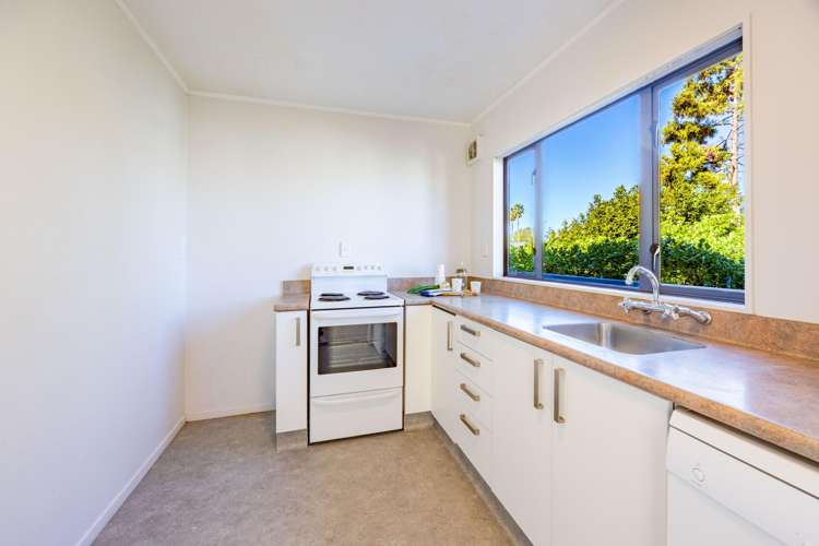 7A Latham Street Napier South_6