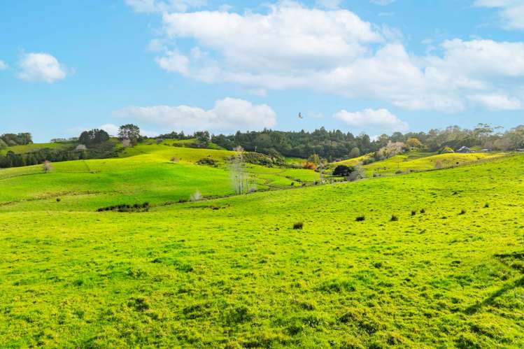 462 Kahikatea Flat Road Waitoki_8
