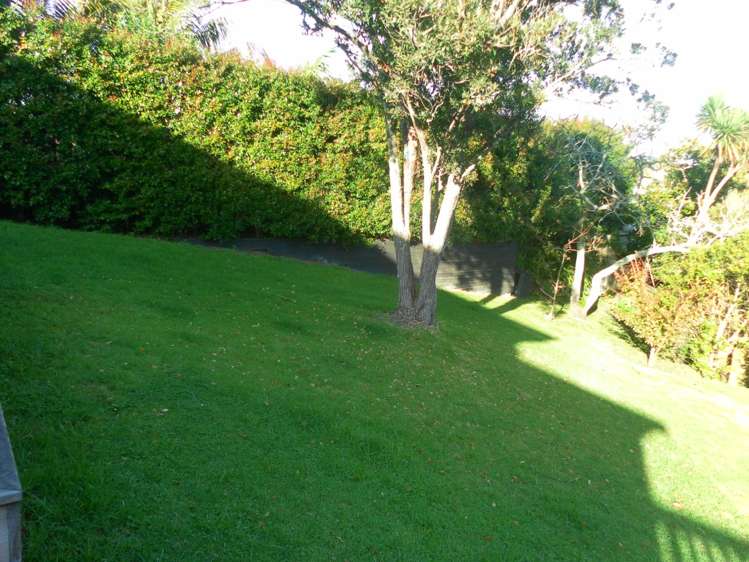 52 Vermont Street Ponsonby_16