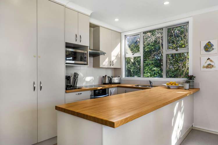 2 and 3/14 Portland Road Remuera_11