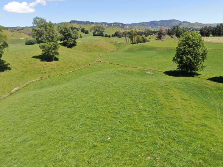 967 Ohura Road Aria_9