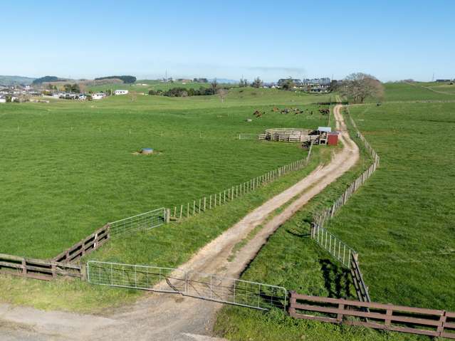 Morrinsville-Tahuna Road Morrinsville_3