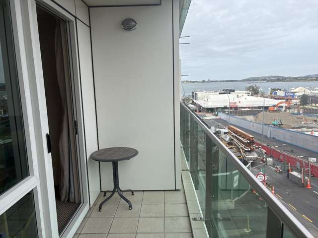 6 Durham Street Kingsview Apartments 11234_2