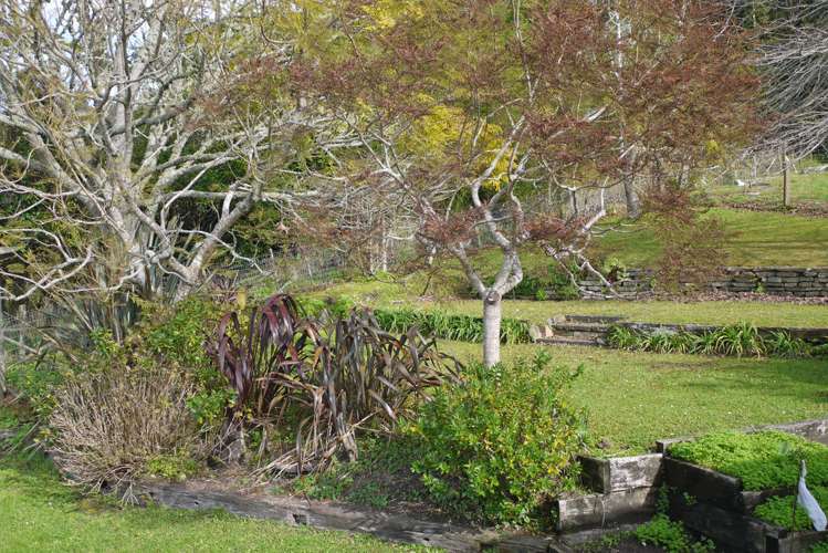 15 Coronation Street Wellsford_6