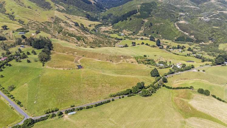 479 Kahuterawa Road Linton_8