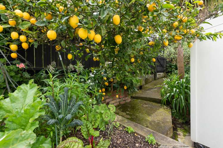 4 Salisbury Avenue Mount Cook_11