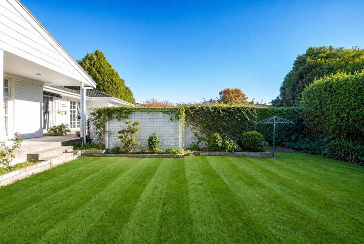 104 Poaka Avenue Dinsdale_12