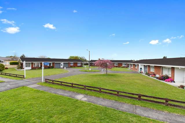 3 Maber Place Morrinsville_1