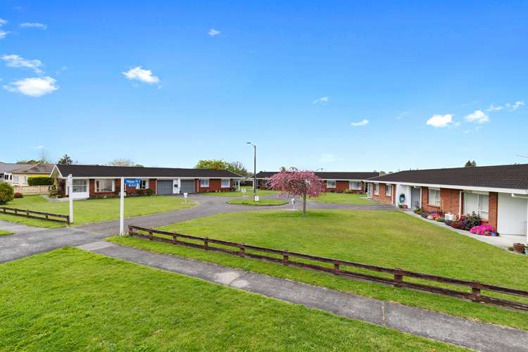 3 Maber Place Morrinsville_1