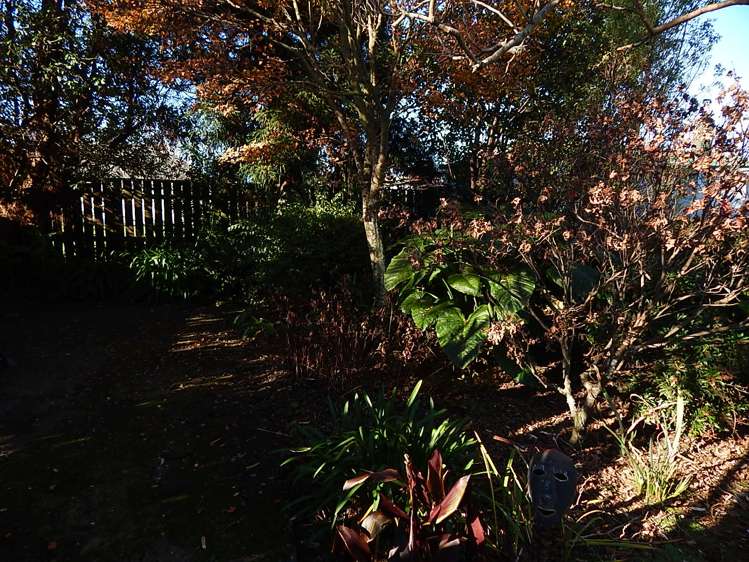 161 Romilly Street Westport_15