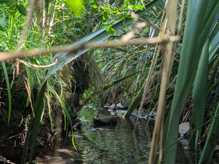 33A Landon Avenue Mangere East_23