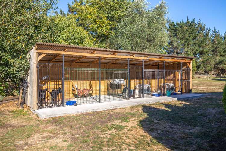 296b Vaile Road Newstead_27