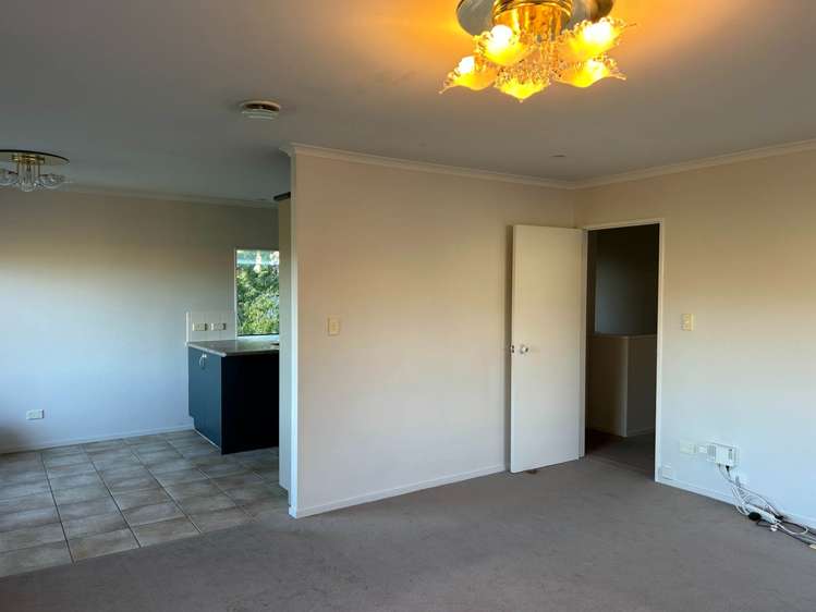 1266 New North Road Avondale_3