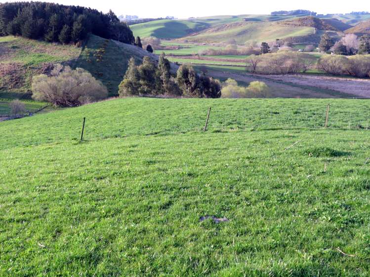 1629 Weston-Ngapara Road Enfield and Surrounds_5