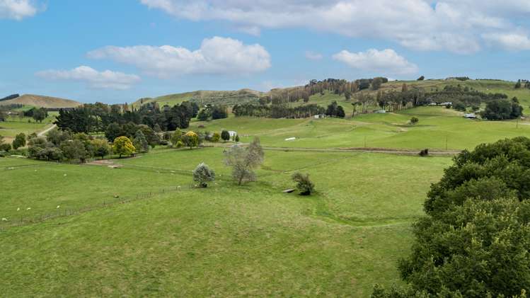 95 Settlement Road Waipukurau and Surrounds_6