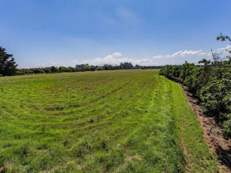 205 Hursley Terrace Road Amberley_16