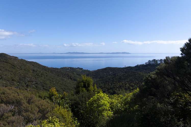 LOT 2 303 Waiaua Road Hihi_8