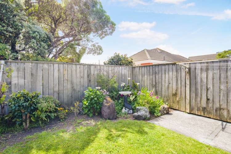 33a Devonshire Road Miramar_11