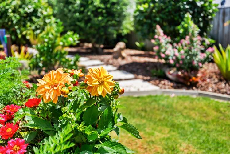 18 Timara Avenue Tikipunga_16