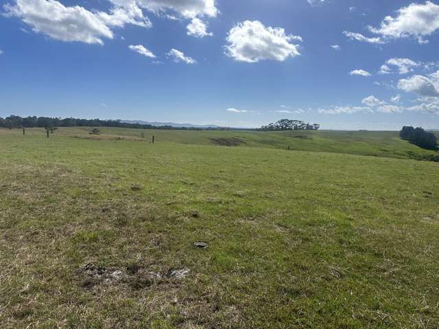 Tahanga Road Lake Ohia_3