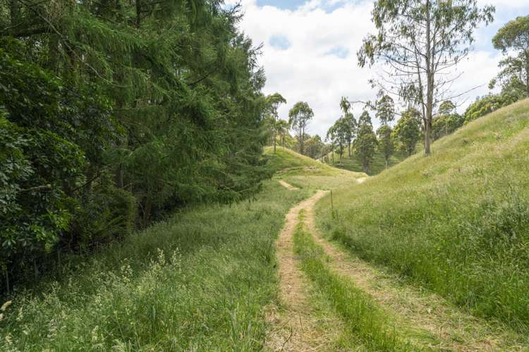 173A Otake Road Kinloch_10