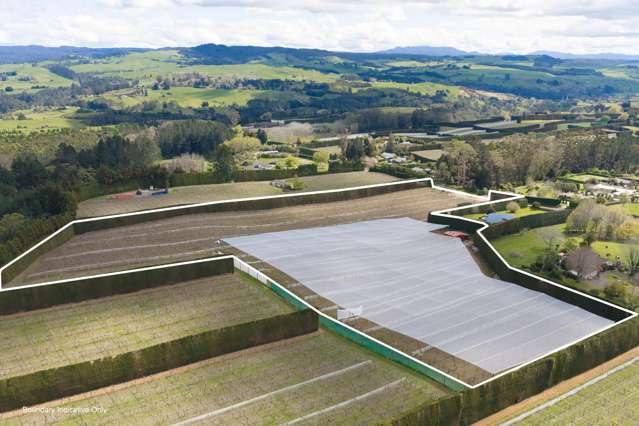 Solid 4.84 ca/ha G3 & HW production block