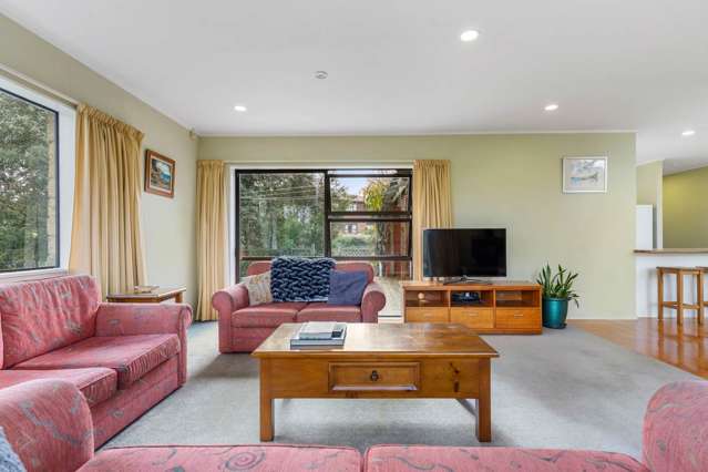 147 Mill Road Totara Park_4
