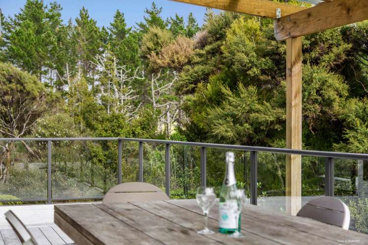 291 Horseshoe Bush Road Dairy Flat_8