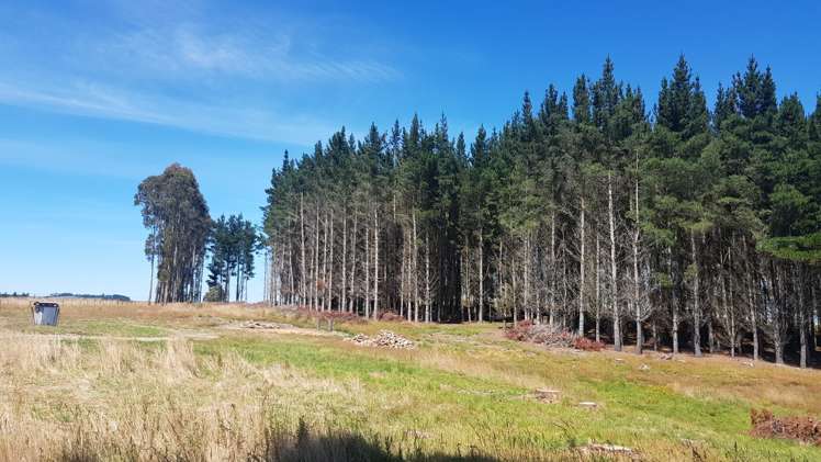 Breakneck Road Lawrence_6