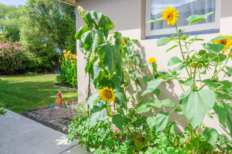 3 Bridge Street Kaiapoi_12