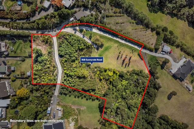 91b Sunnyvale Road Massey_1