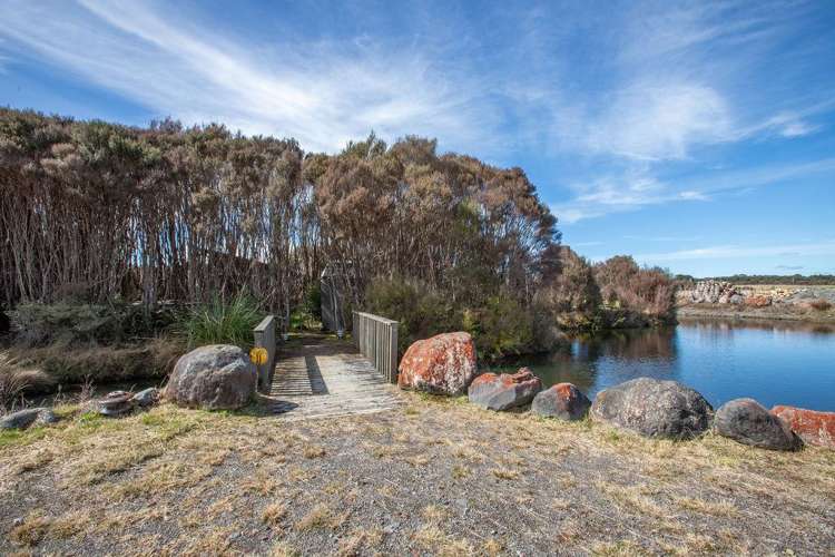 8 Mead Lane Horopito_6
