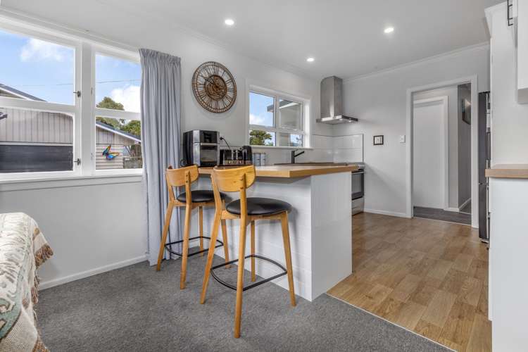 24 Ferguson Street Levin_4