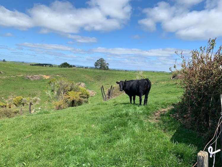 462 Otuiti Road Pukekawa_15