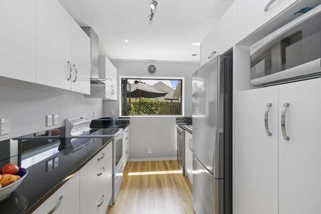 133C Waterloo Road Hutt Central_4