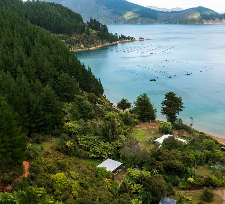 Lot 2 Grant Bay, Manaroa Marlborough Sounds_13