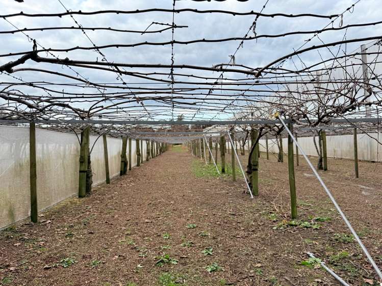 881B Te Matai Road Te Puke_11